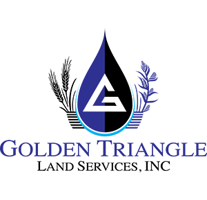 golden triangle